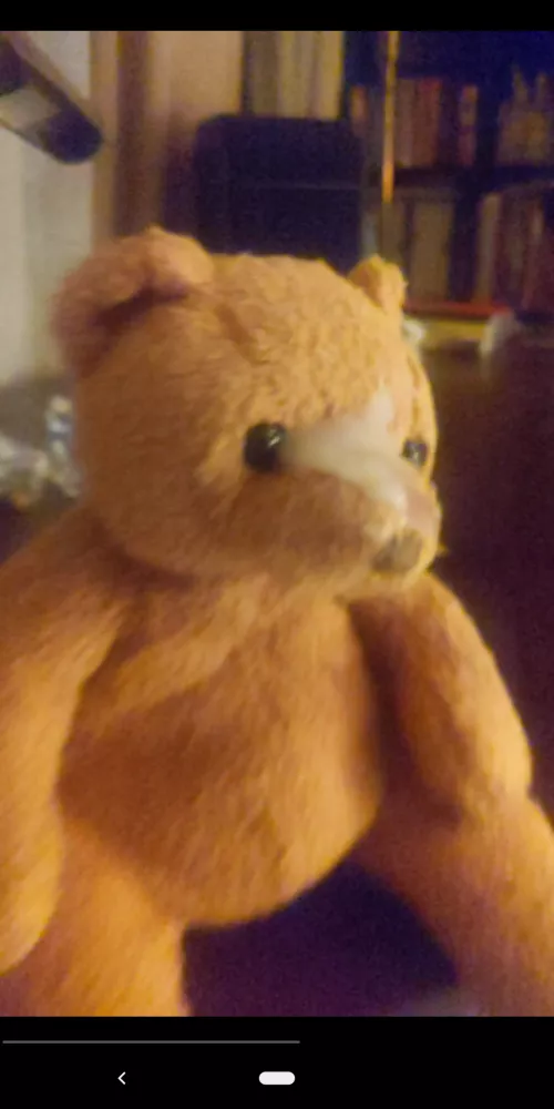 [23] My roommate really is too old for plushies, so I'm thinking of cum tagging more of them for him. He won't notice them missing one by one. He has soooo many 😂 Anybody wanna share one? 🧸