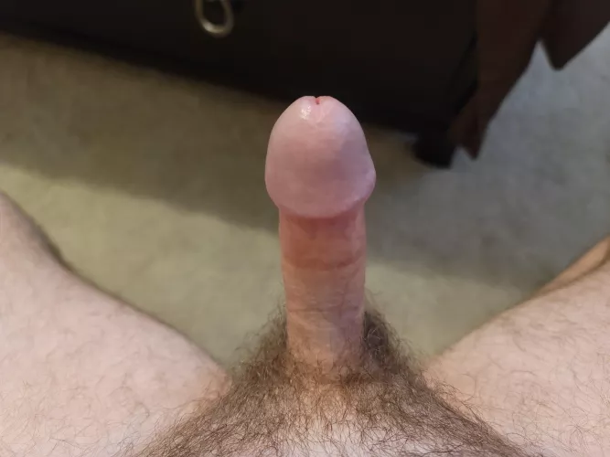 [34] My 4.5 inch mushroom head penis.