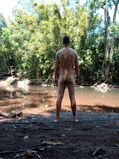 (40M) Spring in my country 