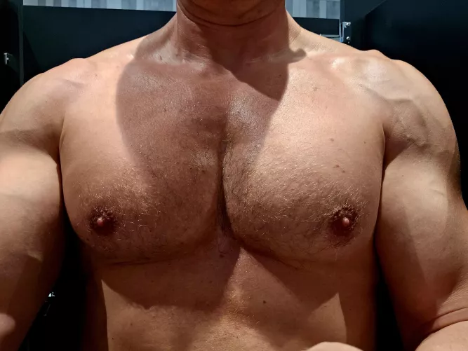 48 [m4f] [m4mf] NWC Prima 12/21 from NYC