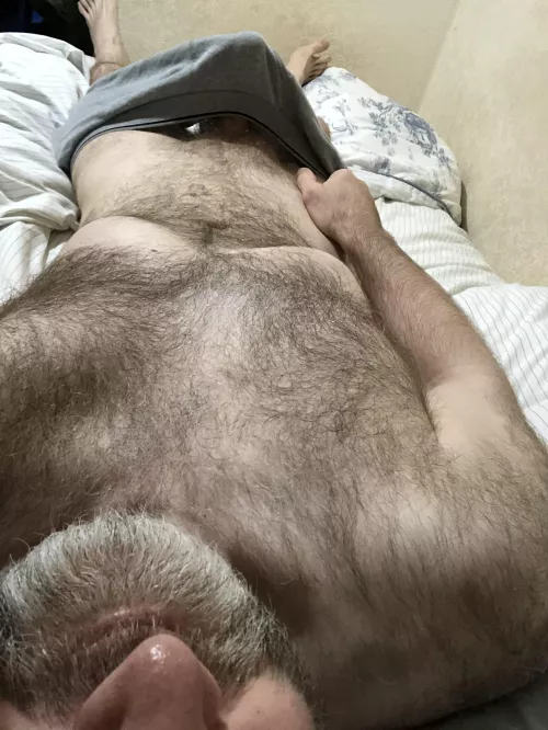 [49] English silver fox waking up 