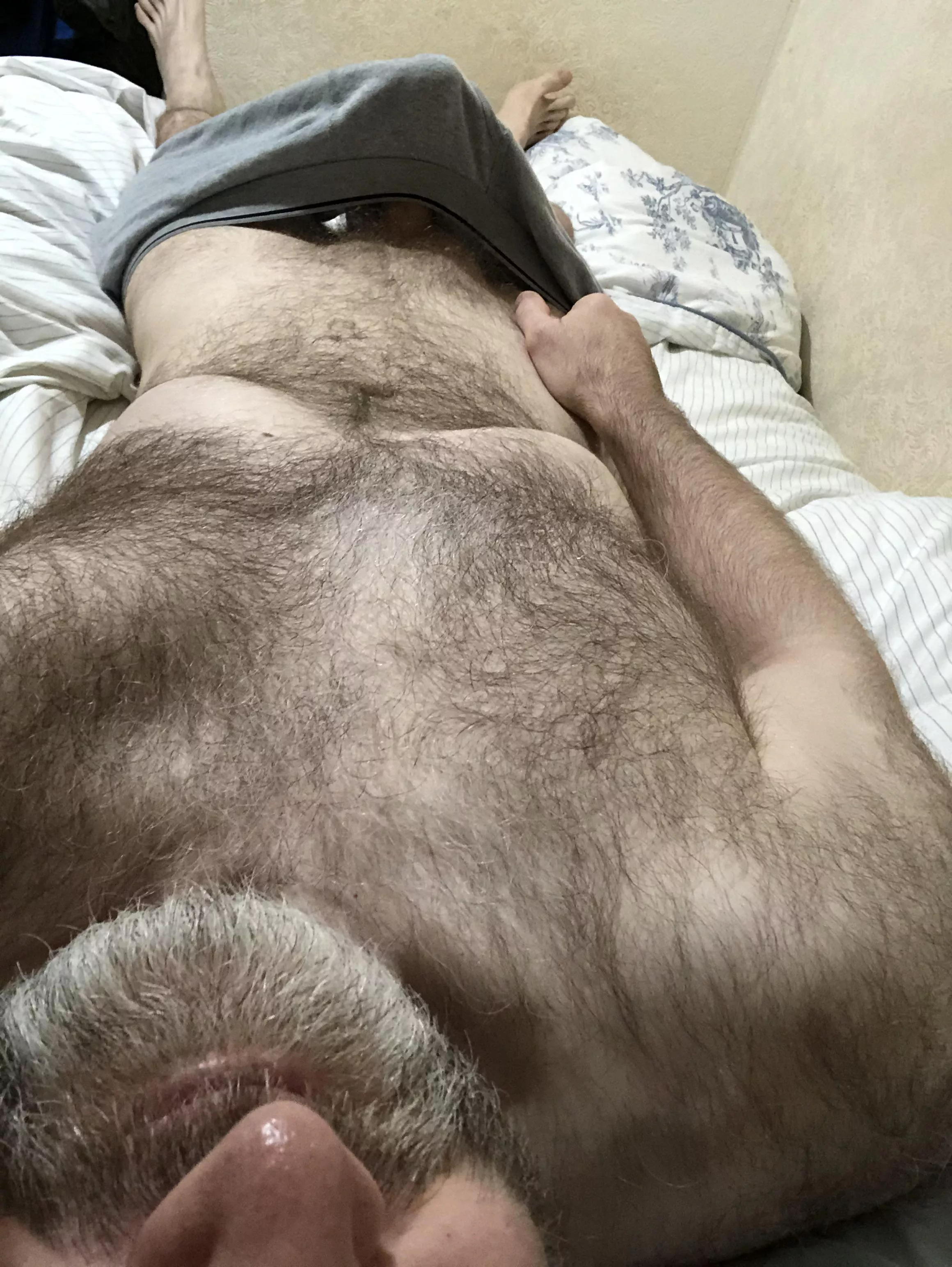 [49] English silver fox waking up 