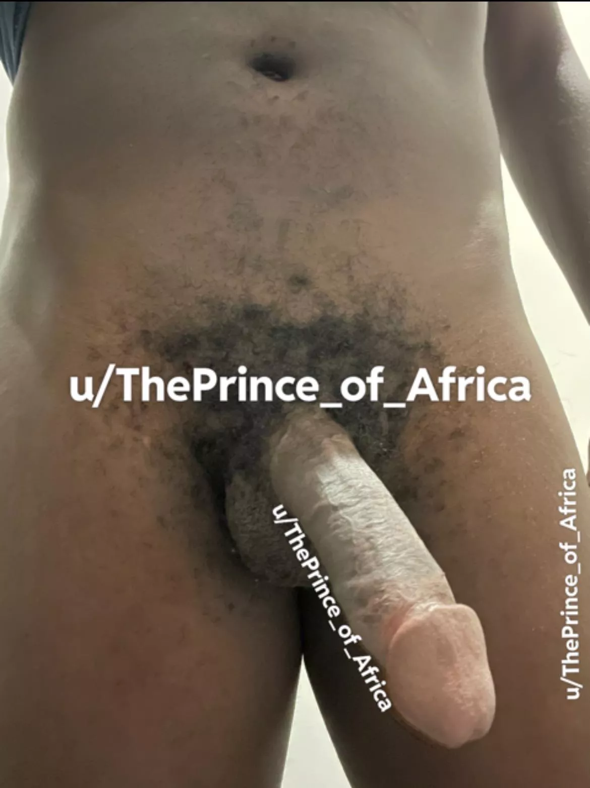 A lot of cock but the balls are massive too