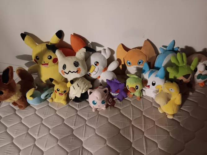 All my Plushies to date