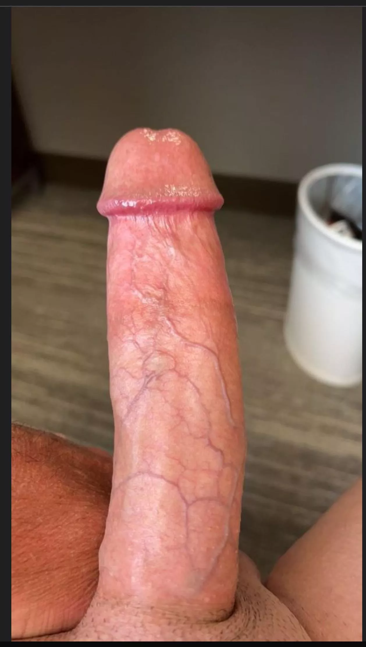 Anyone Looking Today?