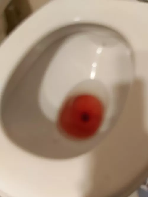 Are you coming to see what else I have for you? 