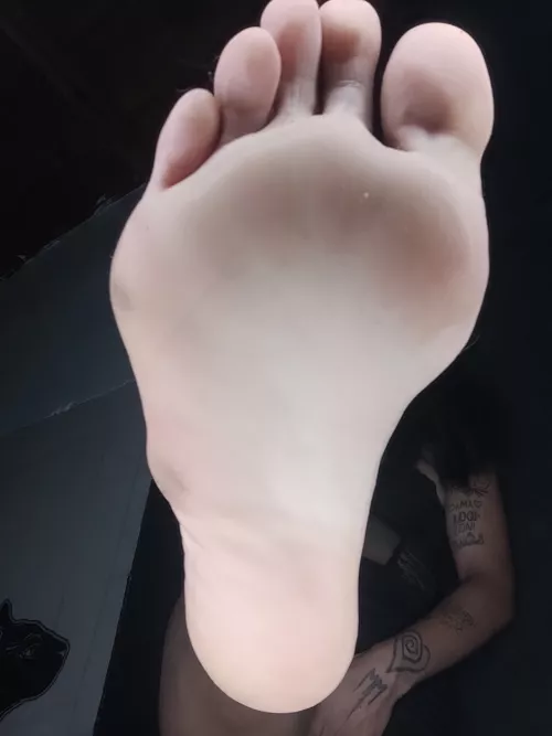 Can you lick my feet while I enjoy my series today? 