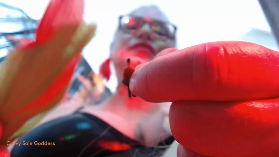 Cannot escape my feathers..