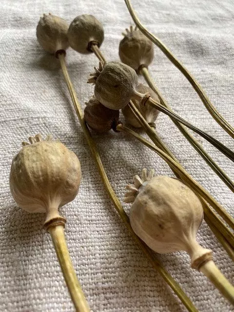 Do these look alright?