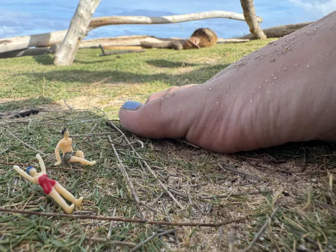 Enrichment time for my favorite play things  