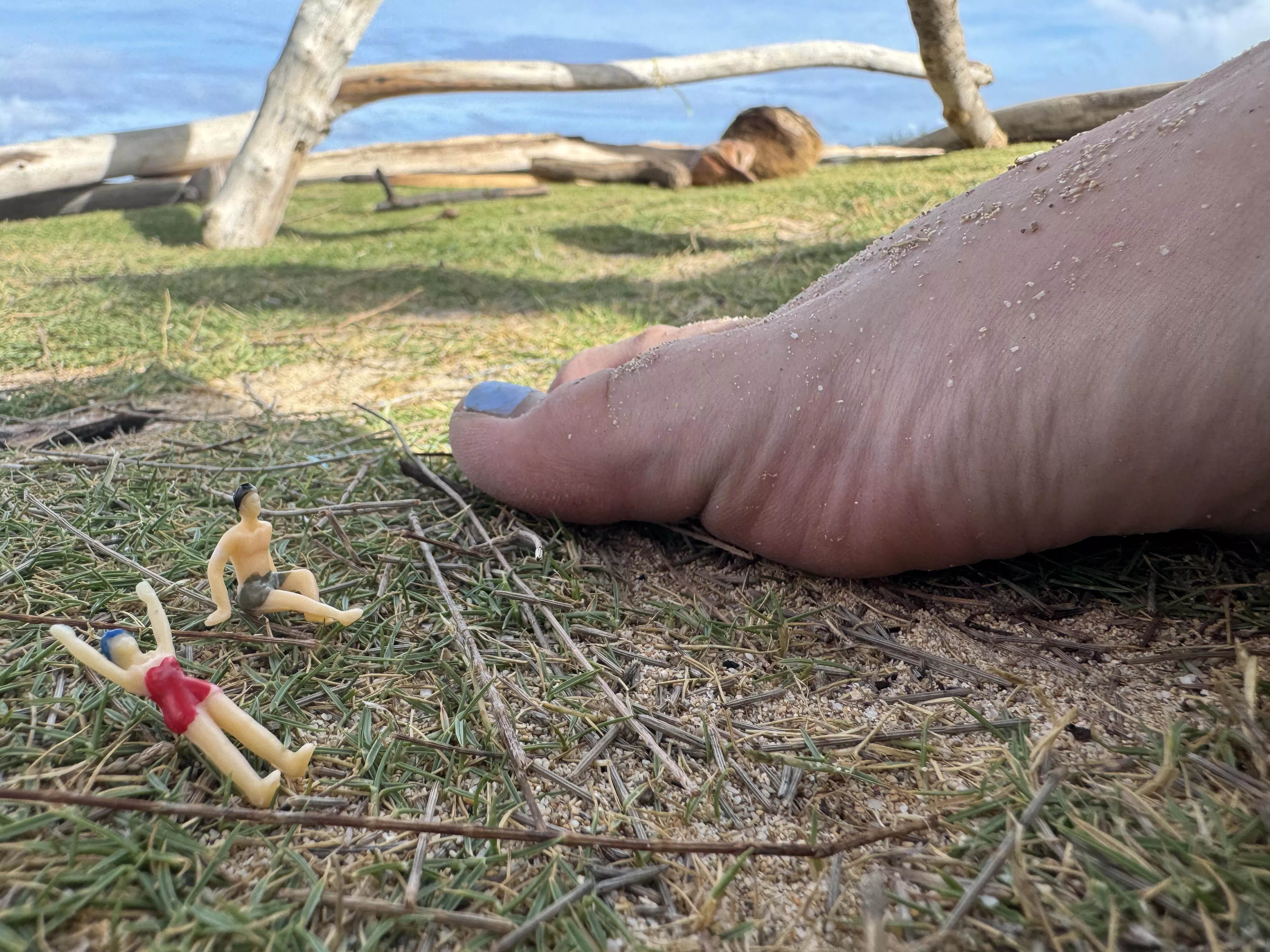 Enrichment time for my favorite play things  