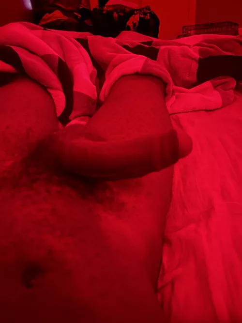 freshly 18 morning wood