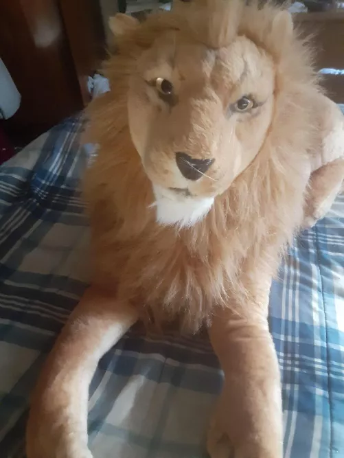 Happy Love Your Plush Animal Day! 