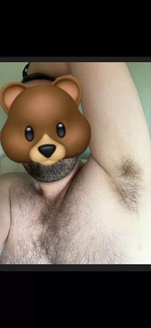 hi 🐻🐻