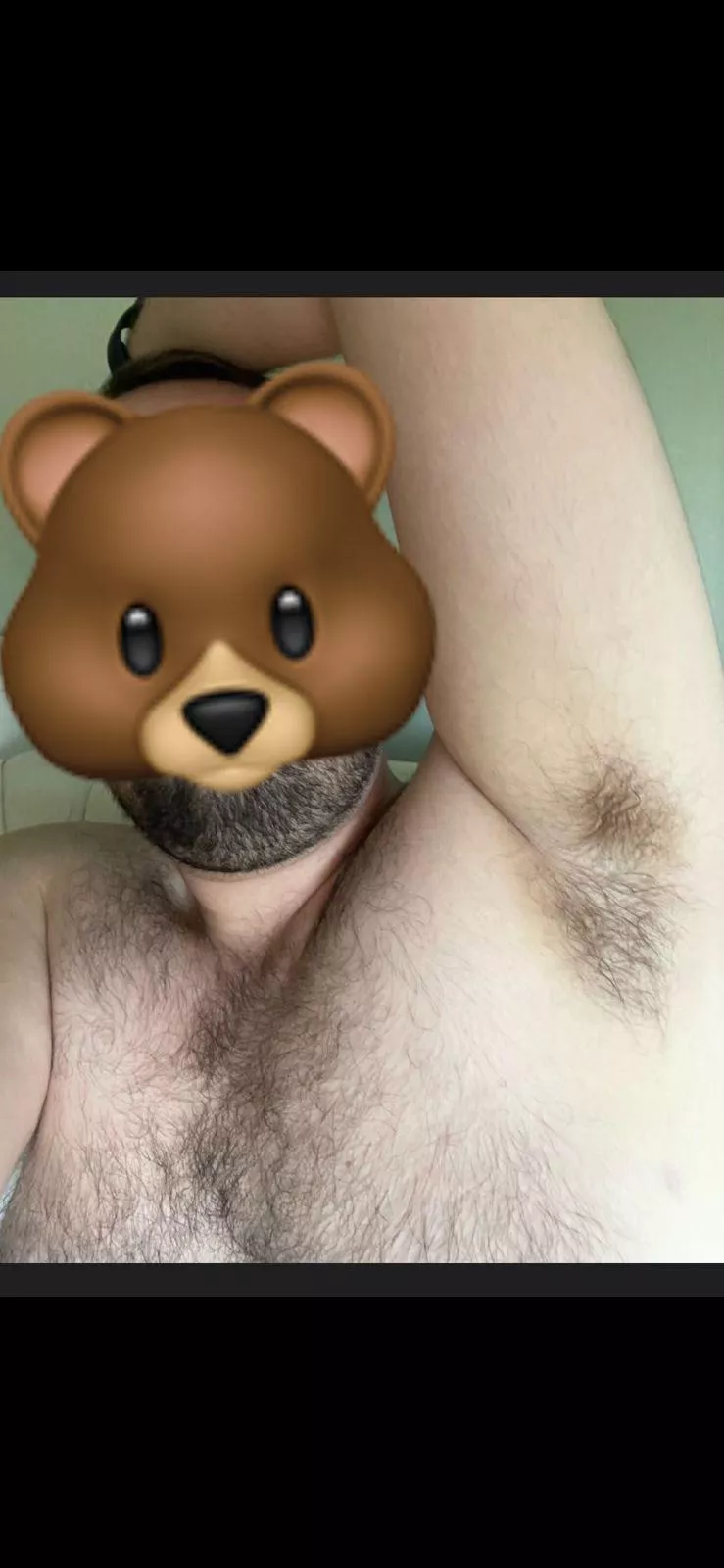 hi 🐻🐻