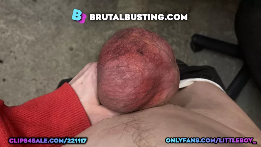 His fucking testicles look disgusting after an electric mixer 🤯🔌🖕🙋‍♀️💫💋 - Dave Moon - Jennifer - Vanessa - Marek - BrutalBusting