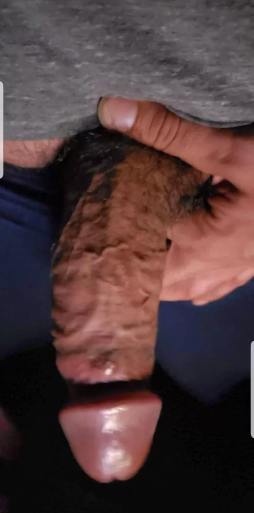 Hung veiny cock 