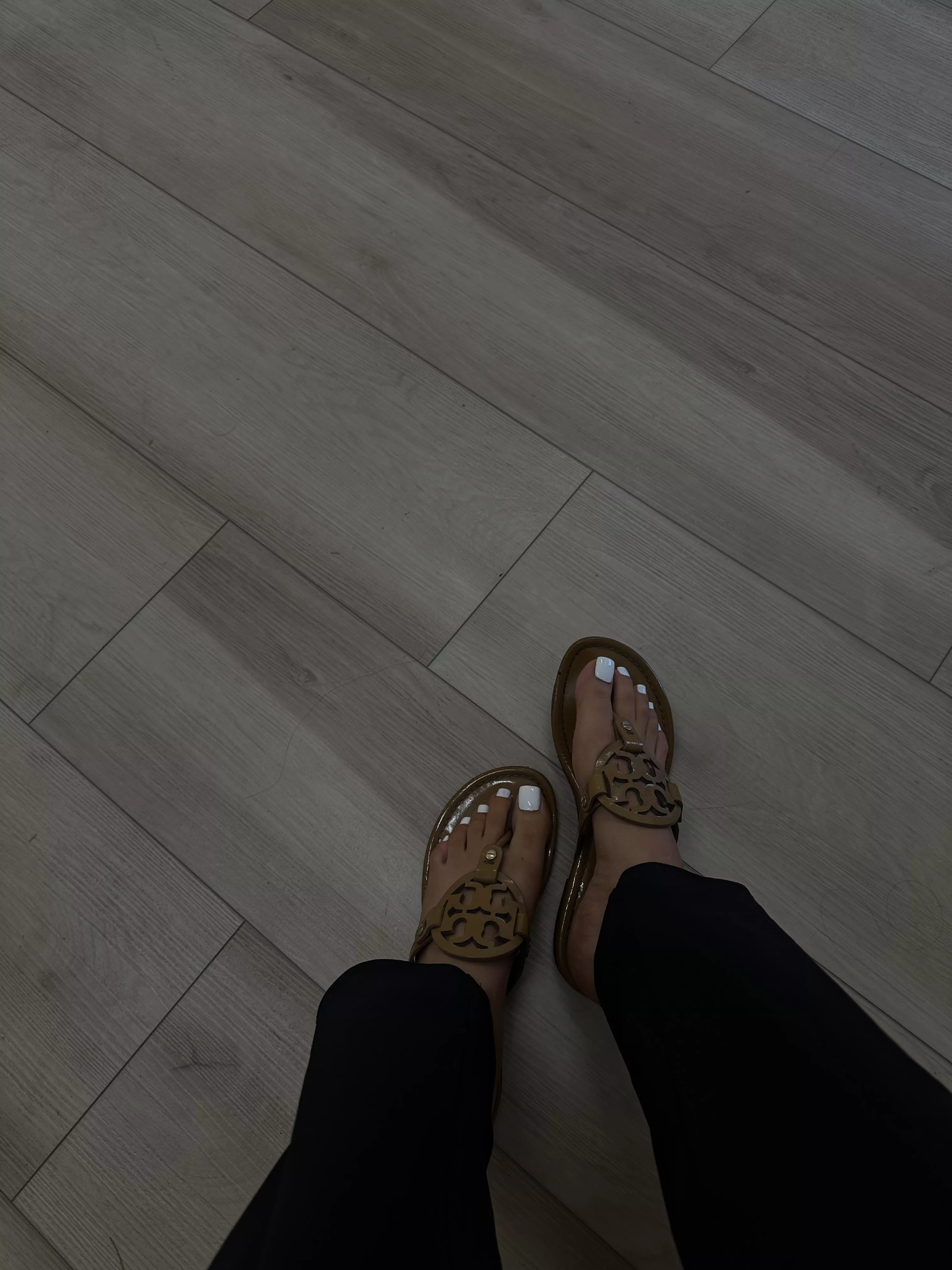 I can wear torys every day. Should I?