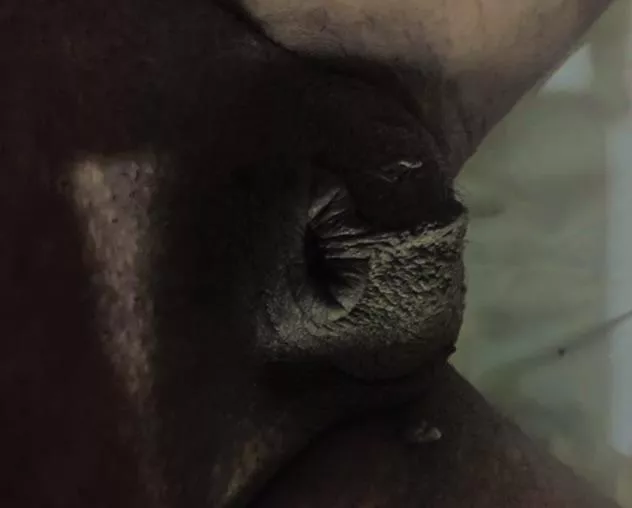 I make some of u guys look huge