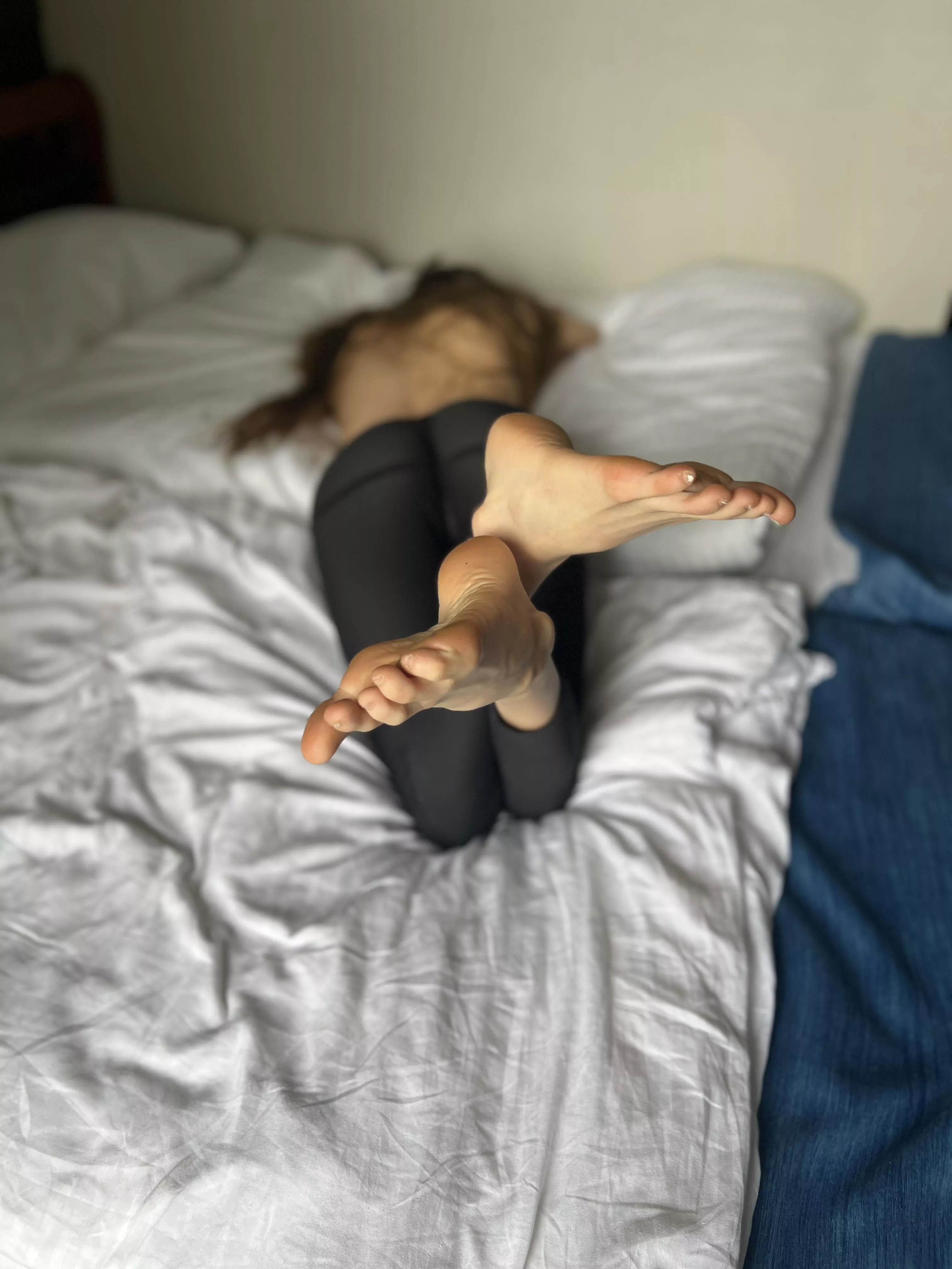 I said grab them and have them