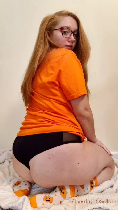 I'm the pumpkin you've been looking to smash