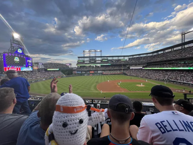 Looking for a bro to clearly get wild Denver 