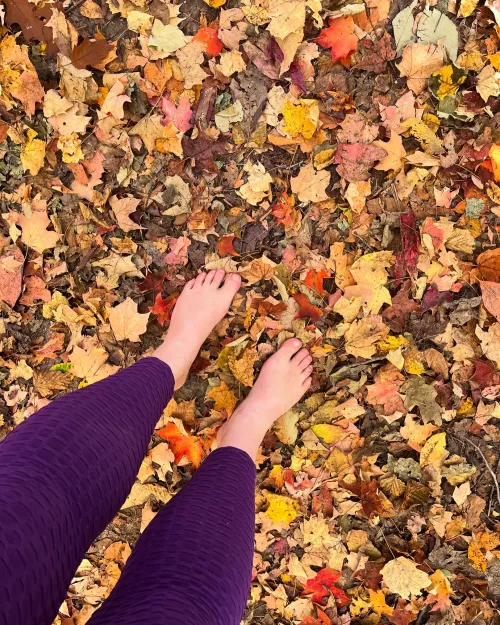 Love hiking on fall leaves 🍂 More content on Onlyfans 🧡