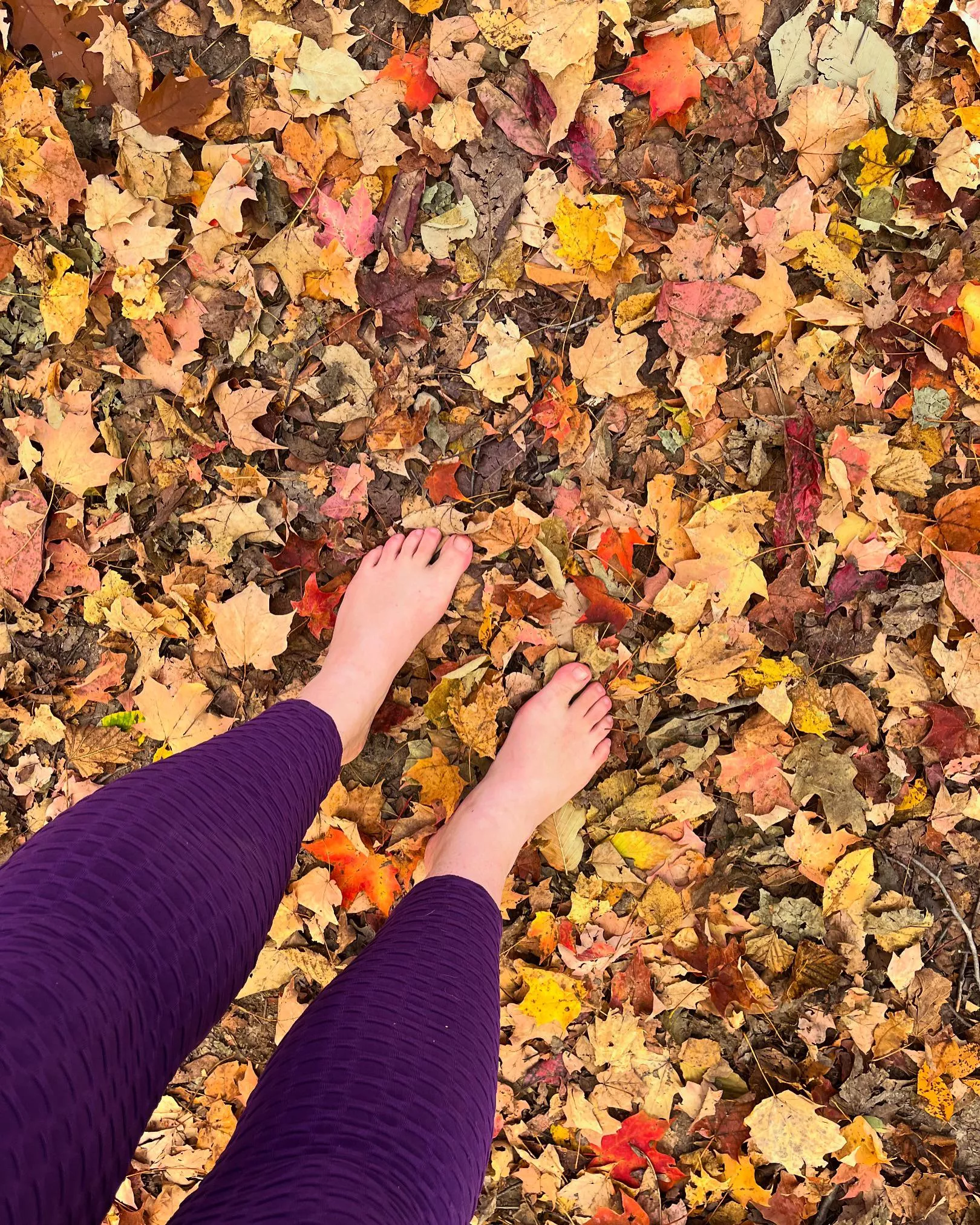 Love hiking on fall leaves 🍂 More content on Onlyfans 🧡