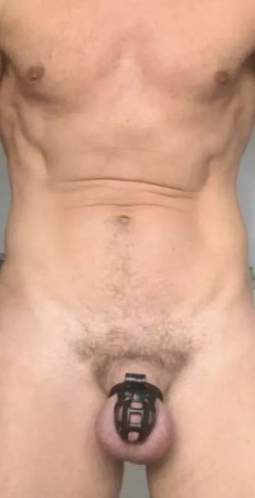 M45 sucht Master/ Paar