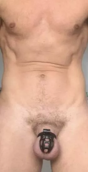 M45 sucht Master/ Paar