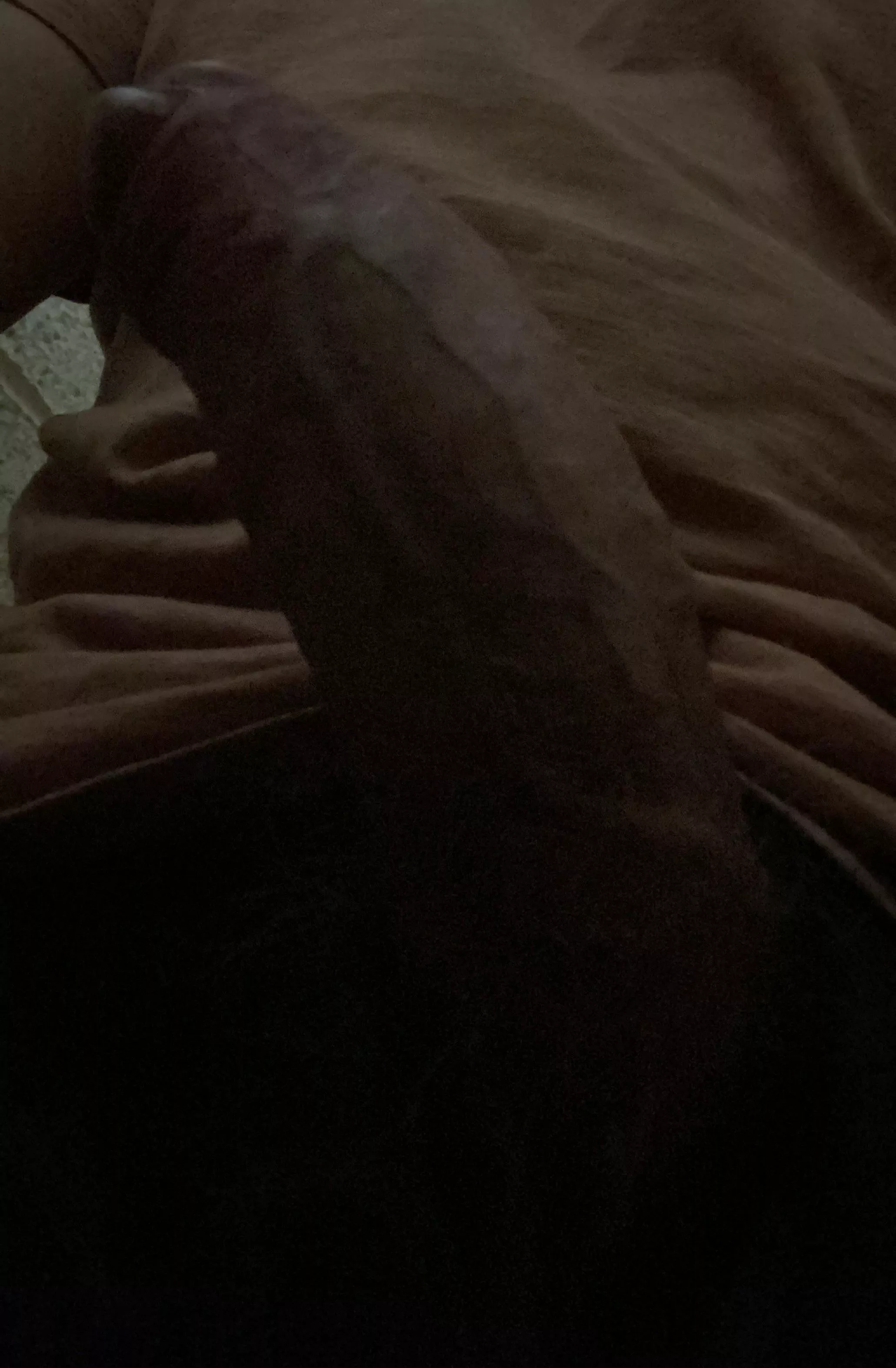 M4F 34 belfast
