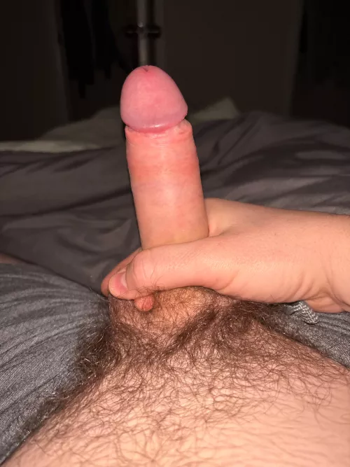 Monday morning cock