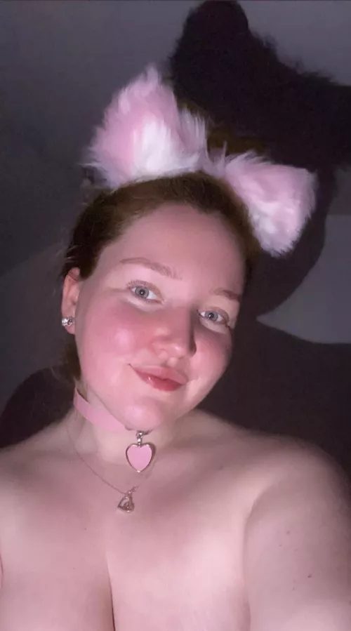 New ears and collar 🥰