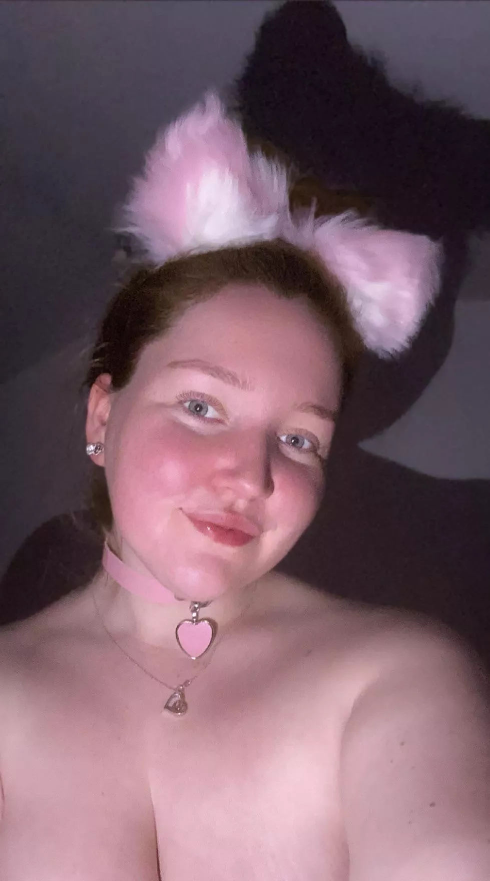 New ears and collar 🥰