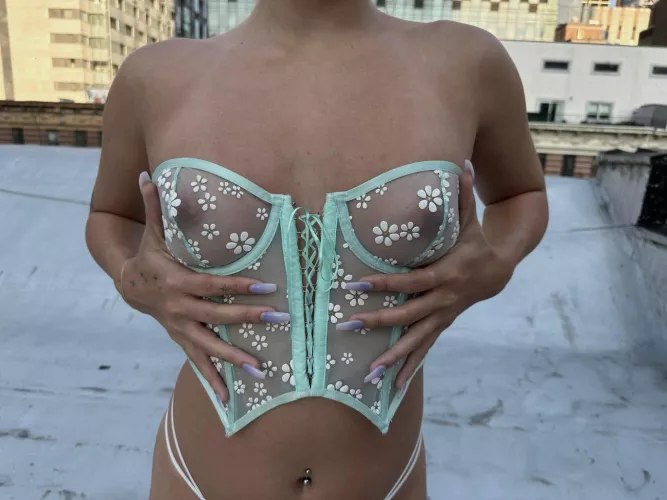 Put my tits in your mouth