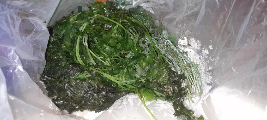 Reminder why you should not store leafy greens in the freezer