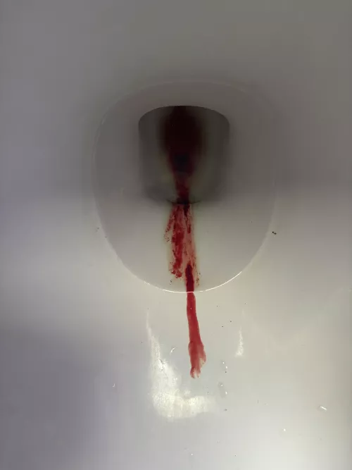 So much more to see… 