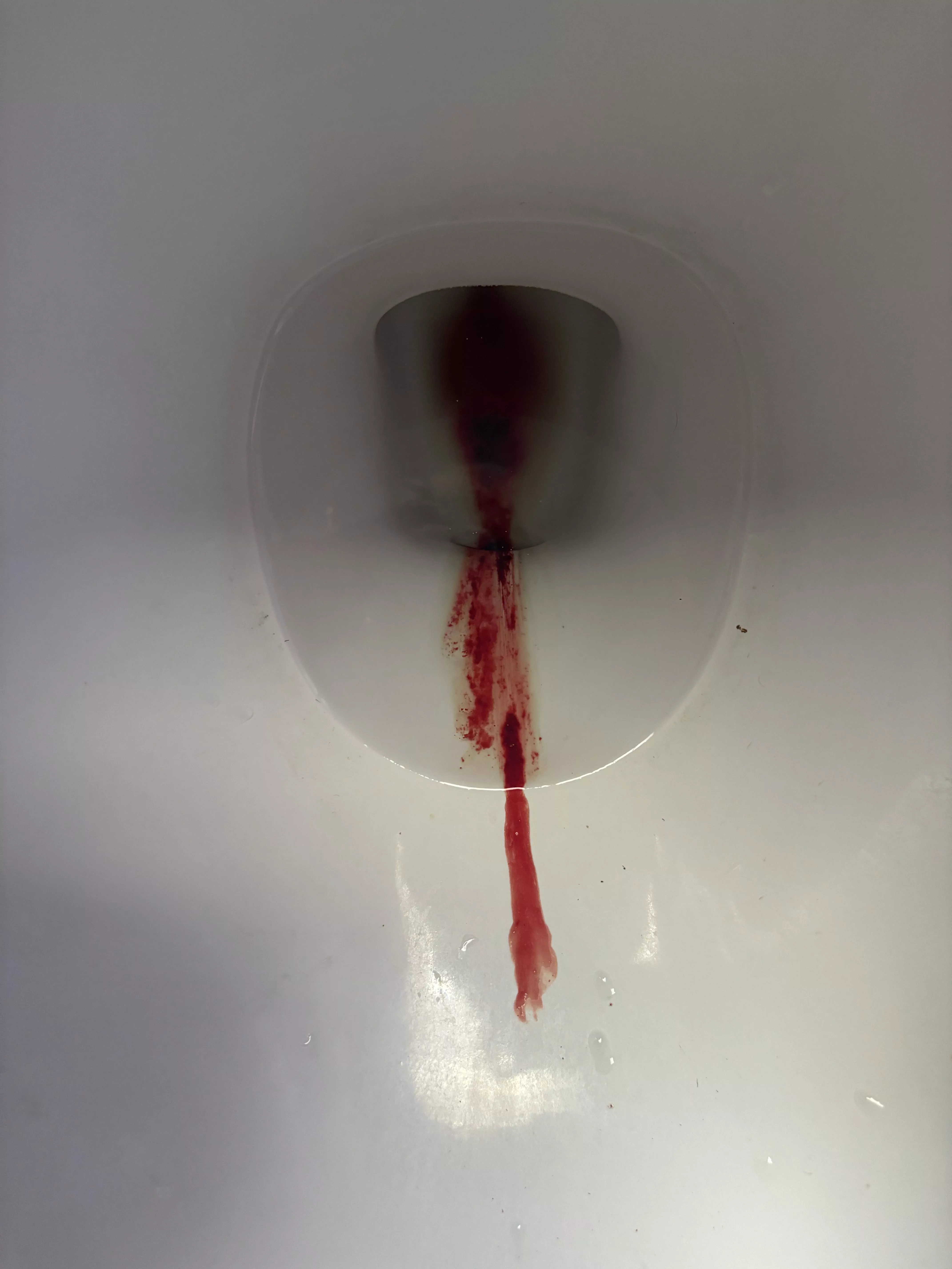 So much more to see… 