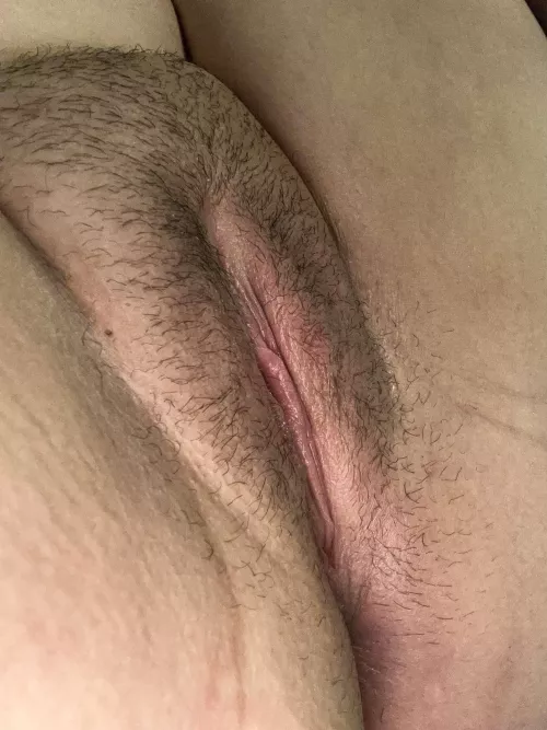 Spread this pussy clean