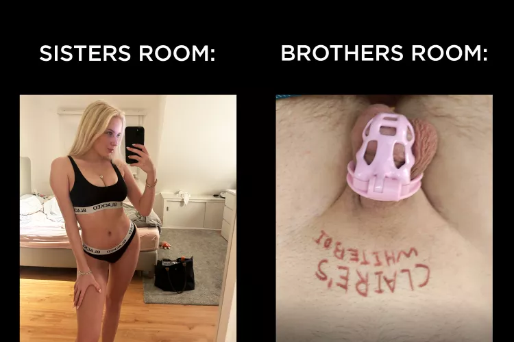 There is no free will, there is only my will to help get wh*tebois out of existence 