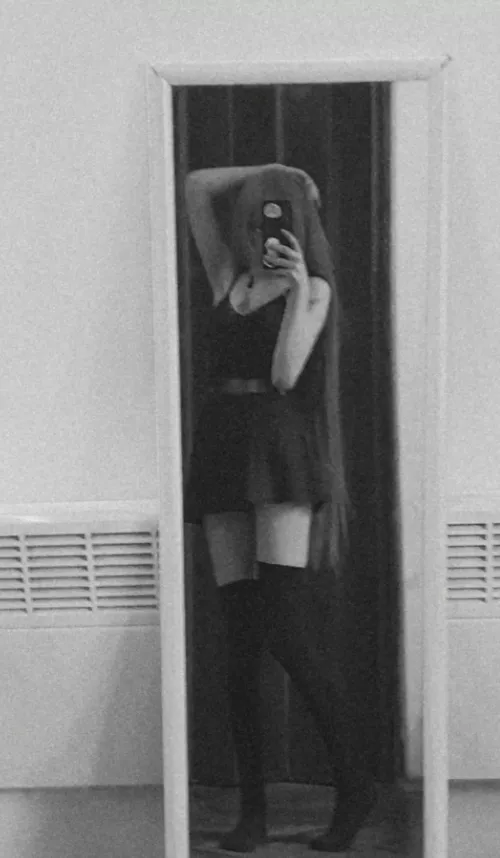 these pigs are a joke 