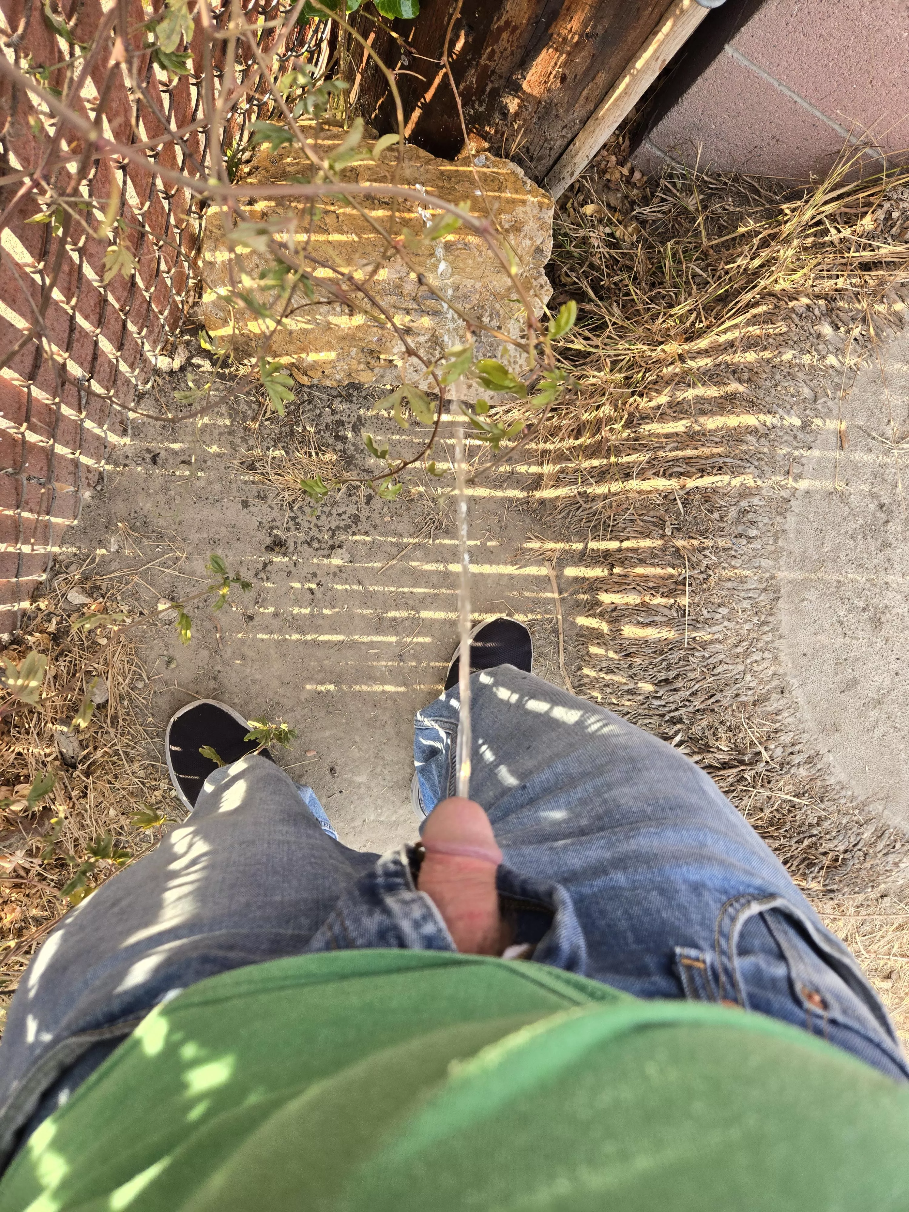 Too many beers at my buddies house requires back yard pissing