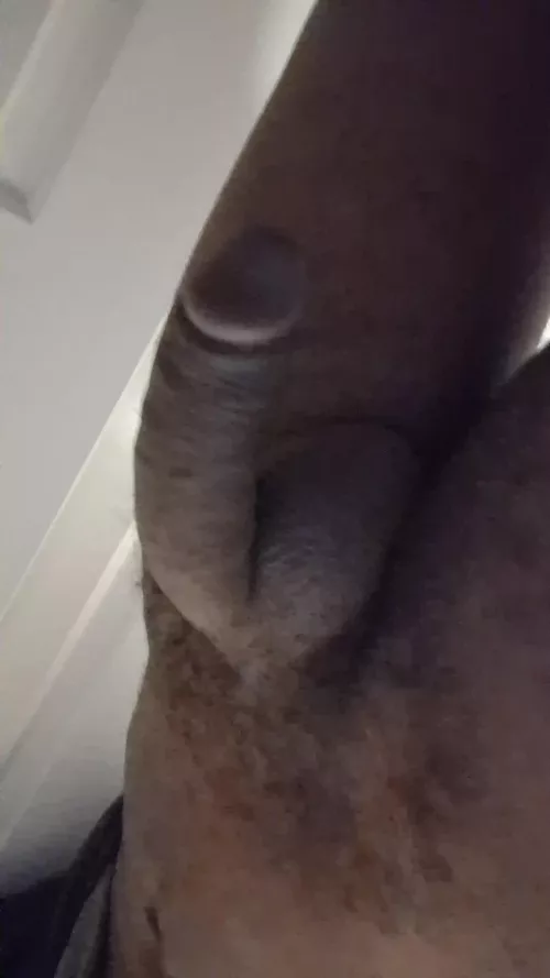 Trying to meet up with a fat assed sissy in denver. Dm me. 