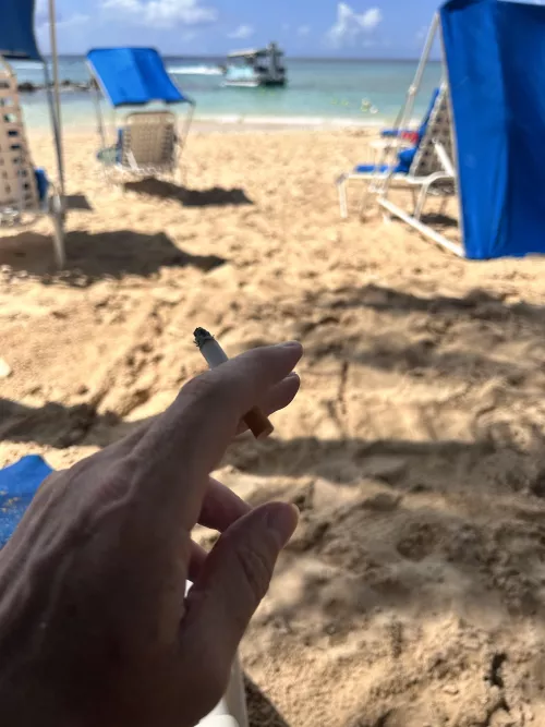 Turned out nice again