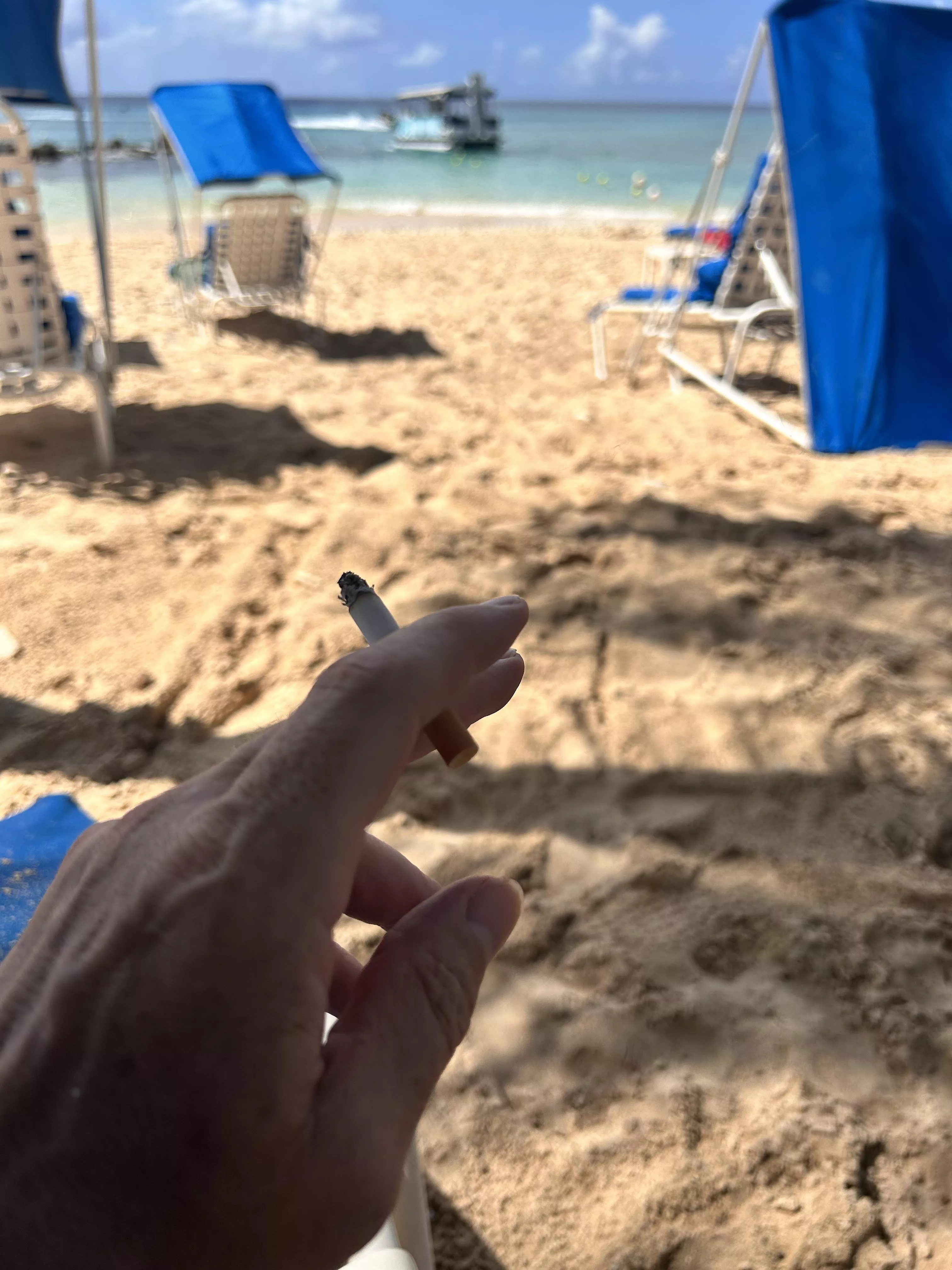 Turned out nice again