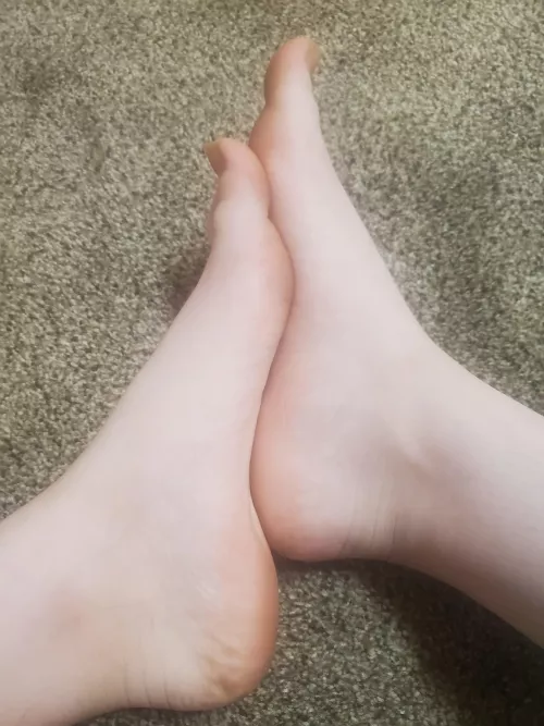 Up Selling My Arches Tonight