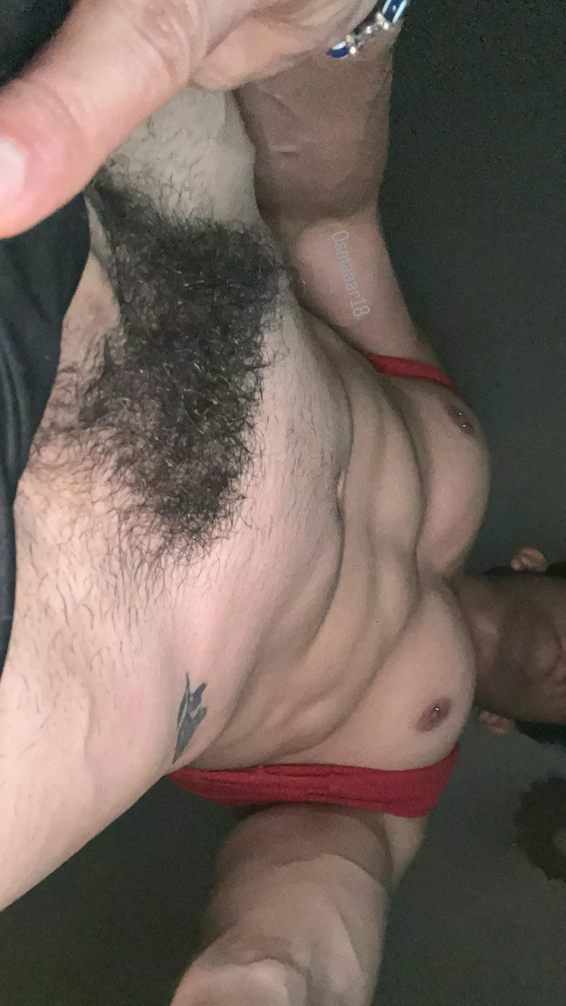 Where are my bush lover  ?