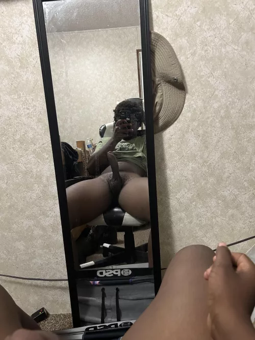 Who Wants To Be Bred❓