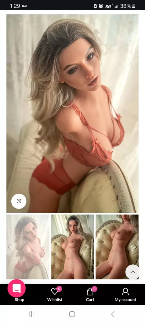 Why do they sell armless sex dolls?