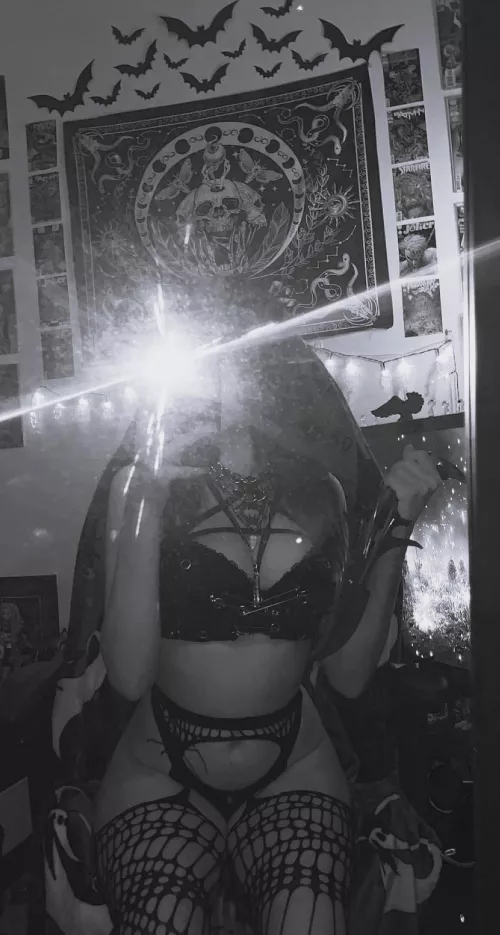 You're in my territory now, prepared to be tamed